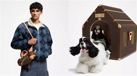 Louis Vuitton unleashes canine couture including a pooch bag 